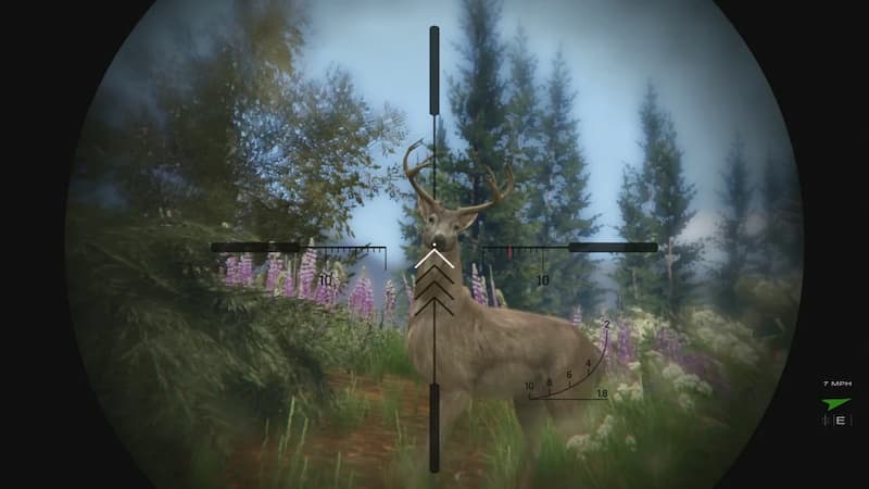 hunting in GTA 5